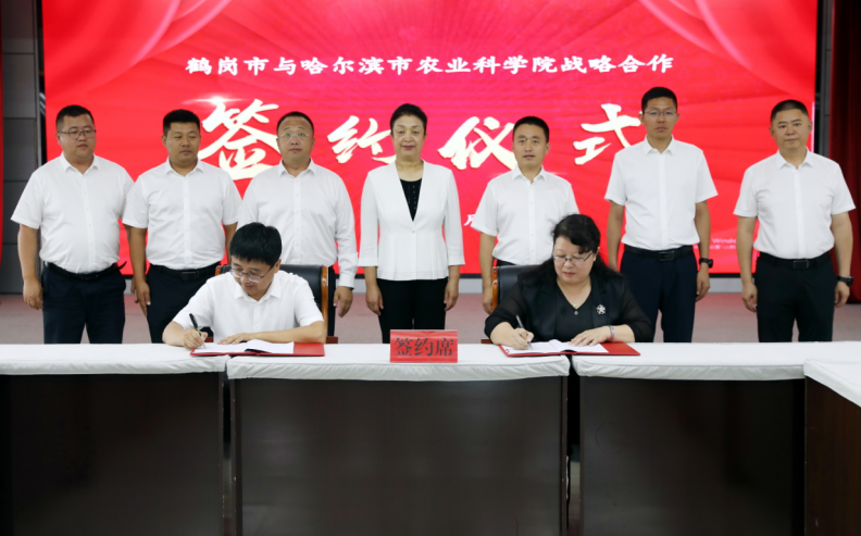 少走弯路的, 走向